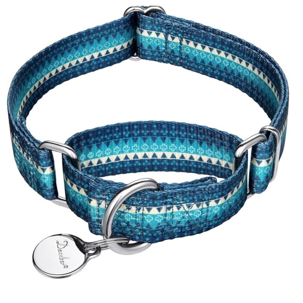 Dazzber dog collars-$40 for all 11 collars